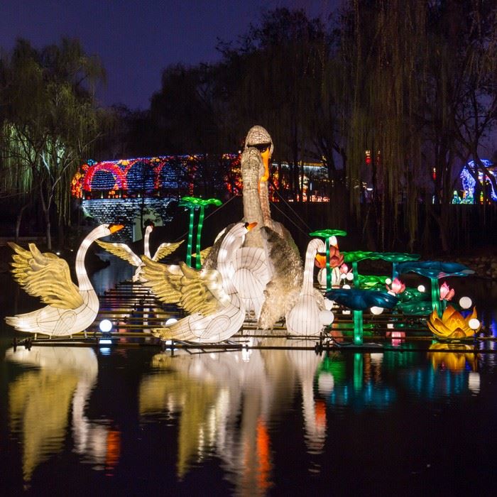 Chinese Peacock Lantern