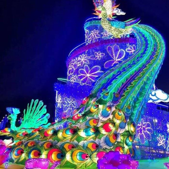 Chinese Peacock Lantern